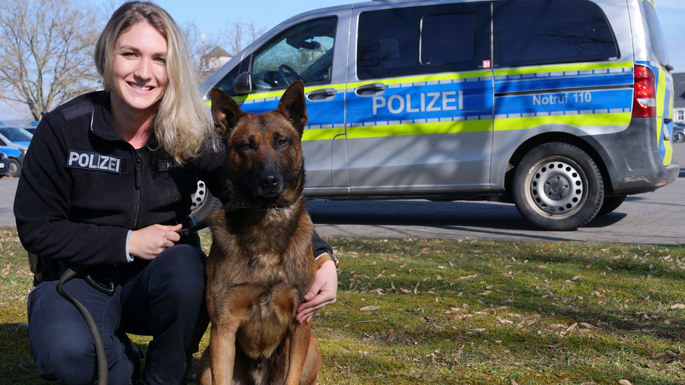 Polizeioberkommissarin Anna Kling gibt auf dem Instagram-Kanal des Polizeipräsidiums Osthessen Einblicke in die Ausbildung ihres Hundes Aron zum Sprengstoffspürhund. 