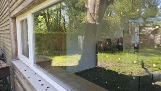 BUND Fulda: Vogelschlag an Scheiben verhindern