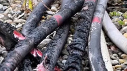Reutlingen: Feuer in Umspannwerk - Ermittler gehen von Brandstiftung aus