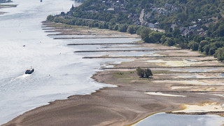 Niedrigwasser kann Preise steigen lassen