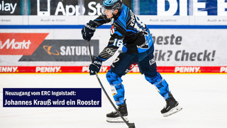 Nationalstürmer Johannes Krauß wechselt nach Iserlohn