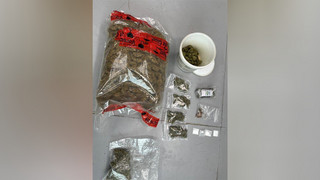 Polizei hat richtigen Riecher: Marihuana-Geruch überführt Drogendealer