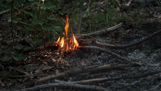 Von Kippe bis Karre: Wie Waldbrände oft entstehen