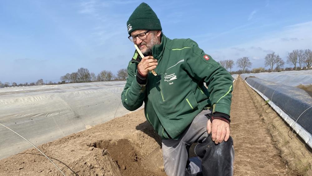 Spargellandwirt Rolf Meinhardt aus Weiterstadt 