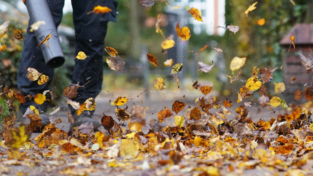 Zürich will den Einsatz nur noch von Oktober bis Dezember erlauben (Symbolfoto).