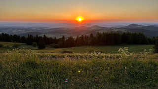 Spannende Einblicke beim "World Ranger Day" in der Rhön