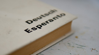 Esperanto-Neujahrstreffen in Wiesbaden