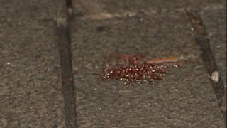 Angriff in Herford: 16-Jähriger nahe Weihnachtsmarkt niedergestochen