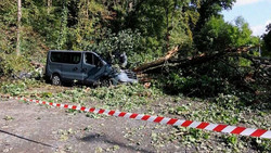 Osthessen nach dem Sturm: Die Aufräumarbeiten beginnen