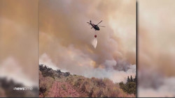 Feuer in Nevada: War es Brandstiftung?