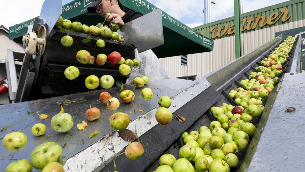 Apfel-Kelterei in Hessen