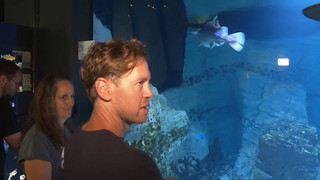 Vettel als Umweltschützer: «Das große Thema unserer Zeit»