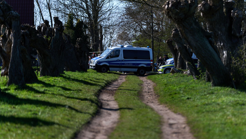 Buckelwal liegt weiter in Wismarbucht