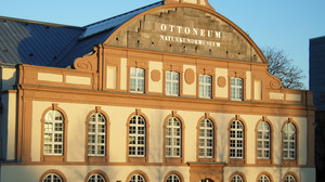 Naturkundemuseum Kassel: Tier-Memory und Dino-Puzzle