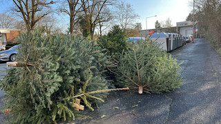 Weihnachtsbaum raus - in Wiesbaden pro Haushalt nur ein Abhol-Termin