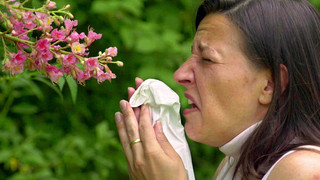 Nervige Nieserei: Unsere Tipps bei Pollen-Allergie