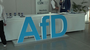 Sachsen-Anhalt: AfD präsentiert 100-Tage-Plan