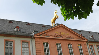 Landesmuseum Mainz sucht Fußball-Fanschätze für Ausstellung