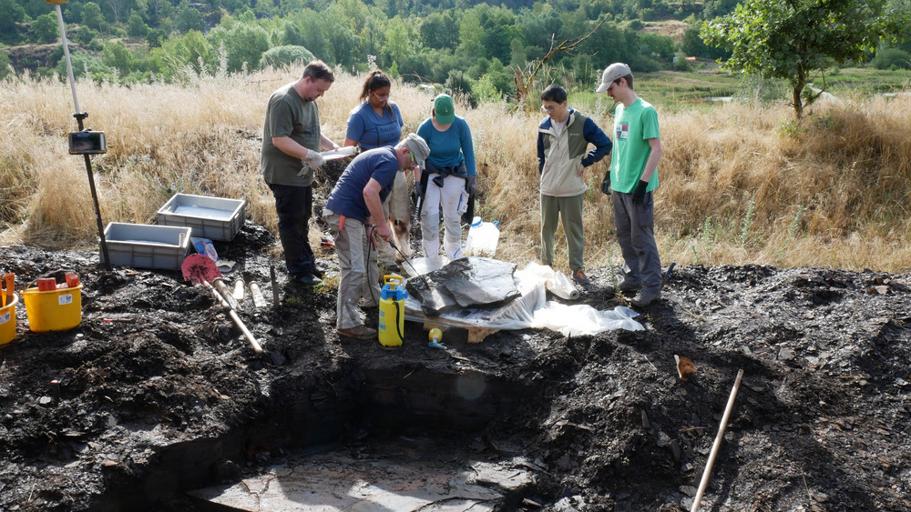 Über 800 Fossilien von Pflanzen, Insekten und Fischen wurden in der Grube Messel, einem UNESCO-Welterbe in Darmstadt-Dieburg, entdeckt (Archivbild).