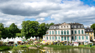 20.000 Besucher erwartet: Gartenfest am Schloss Wilhelmsthal