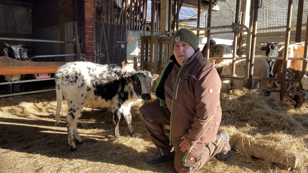 Tobias Wagner ist besorgt über die Ausbreitung des Wolfes in Hessen. Seine Zwergzebus lässt er derzeit nicht mehr auf die Weide.