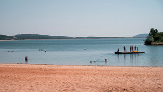 Erneuter Wels-Angriff im Brombachsee - Behörde greift ein
