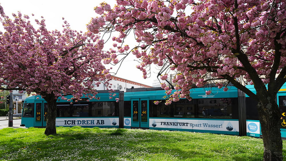 In Frankfurt sind ab sofort mehrere Straßenbahnen mit den Slogans der Wassersparkampagne unterwegs.