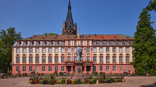 Schloss Erbach ab sofort vorläufig geschlossen