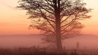 Kreuz & Quer am 6. November - Novemberblues