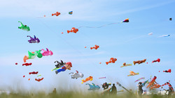 Drachenfest Rodgau