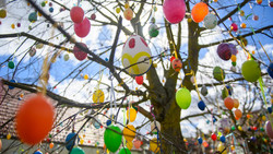 Ostergarten in Fulda