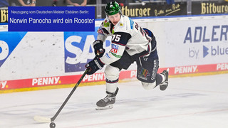 Norwin Panocha - Iserlohns Neuzugang kommt von Meister Eisbären Berlin