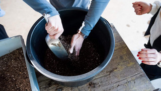 Bestattung im eigenen Garten - das ist möglich