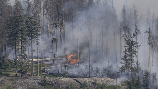 Waldbrand Altkönig: Brand unter Kontrolle - Einsatz dauert an