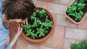 Pflanzen-Profi gibt Tipps: So machst du deinen Garten fit