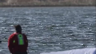 Wal vor Poel soll auf große Reise: Transport bis in die Nordsee geplant