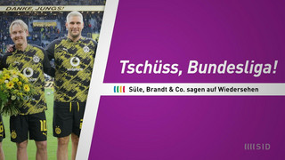 Tschüss, Bundesliga! Diese Spieler nehmen Abschied