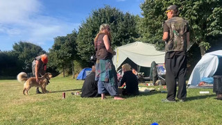 Nach juristischem Tauziehen: Punk-Camp auf Sylt startet