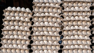 Bei Baunatal von der Polizei gestoppt: Dieb klaut Sattelzug mit Eiern