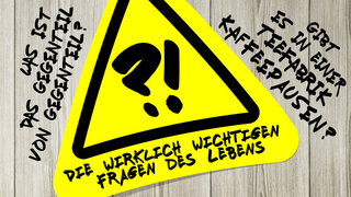 Die unsinnigsten Fragen der Welt: Das macht keinen Sinn