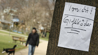 Heuchelheim: Dogge vergiftet - Polizei warnt Hundebesitzer