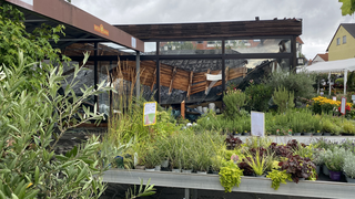 Großer Schreck in Heusenstamm: Dach von Gärtnerei stürzt ein