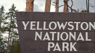 100 Dollar extra für Ausländer: US-Nationalparks bald teurer