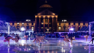 "Wiesbaden on Ice" hat begonnen - 300.000 Besucher werden erwartet