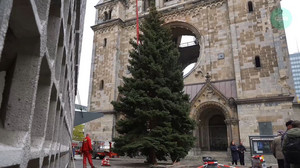 Auch von Falschparkern nicht aufzuhalten: Weihnachtsbaum am Breitscheidplatz steht