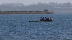 Wenig Wasser, kaum Kraft: Wal vor Wismar wird sterben