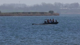 Wenig Wasser, kaum Kraft: Wal vor Wismar wird sterben