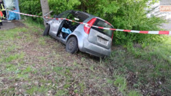 Pkw gegen Baum geprallt: Rettungskräfte befreien Fahrerin aus Auto