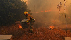 Löscharbeiten in Ostspanien: Feuerwehr kämpft gegen Waldbrand bei Castellón
