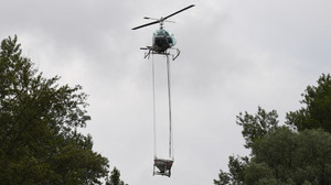 Stechmücken auch in Hessen bekämpft